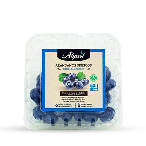 Arándanos Frescos 100gr - Alyssol