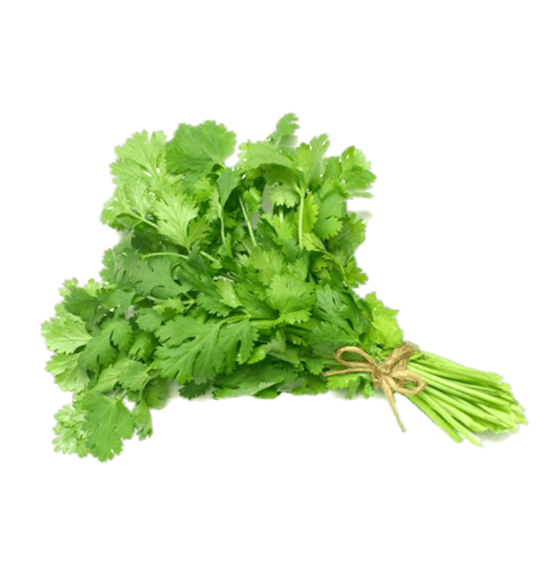 Culantro atado - Producción Responsable